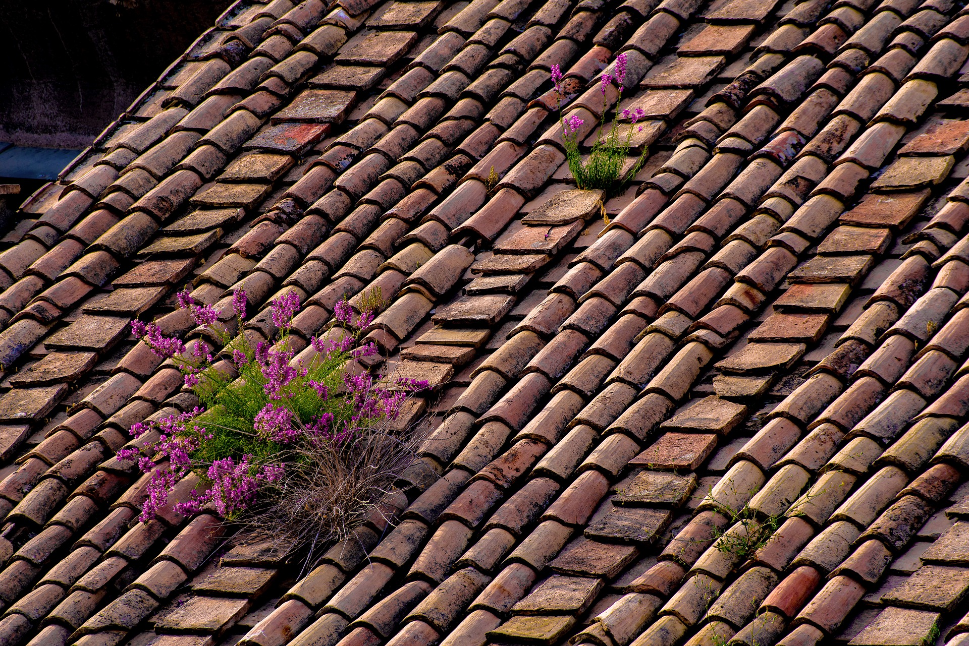 older roof