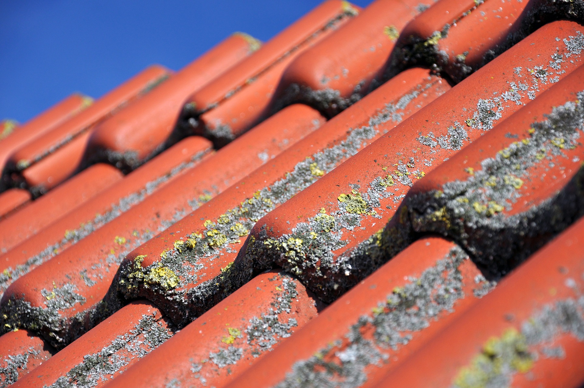 Gutter Cleaning Company Post Falls Id